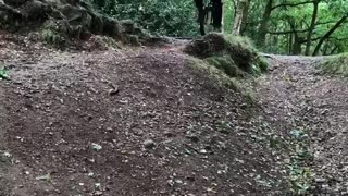 Mountain Unicyclist Attempts Difficult Trail Stunt