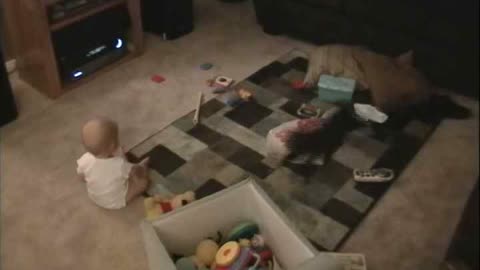 Unsuspecting Baby Knocked Over By Playful Kitten