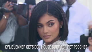 Kylie Jenner gets dog house built for pet pooches