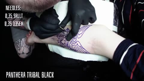 Traditional Eagle Linework Tattoo [Timelapse-Tattoo]