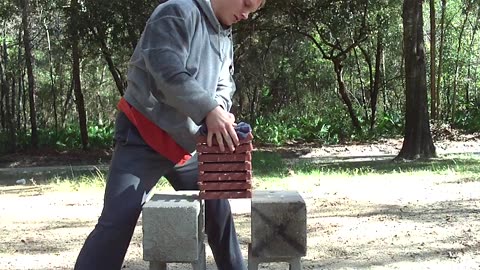 1st Time Trying To Break Small Hard Bricks With An Elbow Strike—Purposefully Didn't Use All My Power