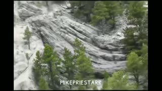 Mount Rushmore is a giant petrified tree stump?