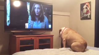 Bulldog warns actress of danger during scary movie scene