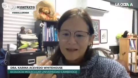 DRA, KARINA ACEVEDO WHITEHOUSE y la seguridad de las vacunas Covid 19