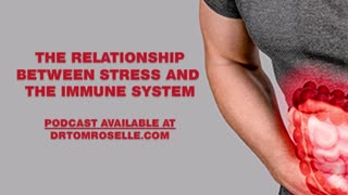 The Relationship Between Stress and the Immune System