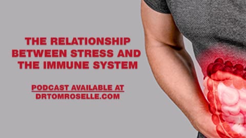 The Relationship Between Stress and the Immune System