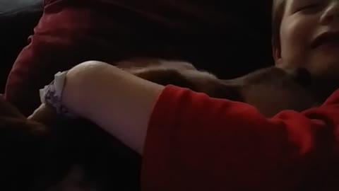 Autistic child gets comfort from his dog