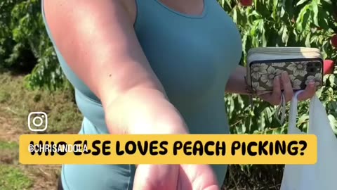 WHAT DO YOU MAKE WITH PEACHES?