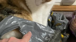 Hey this is my bag!