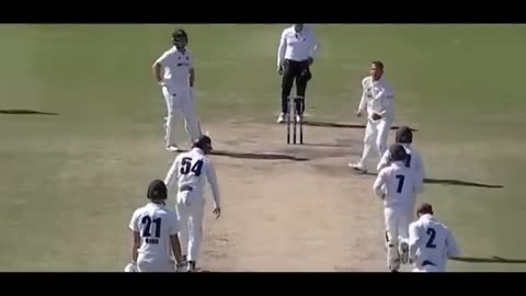 Cricket history crazy moment