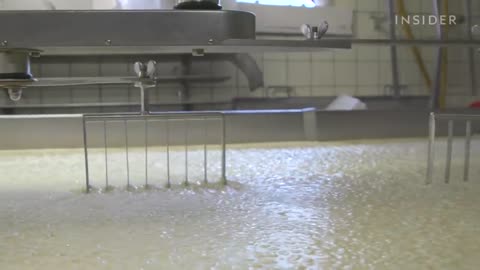 How Dutch Gouda Is Made At A 100-Year-Old Family Farm | Regional Eats | Food Insider