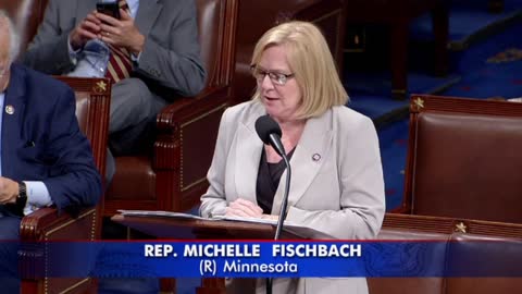 'Unconstitutional And Misguided Policies': Michelle Fischbach Knocks Senate Gun Control Legislation