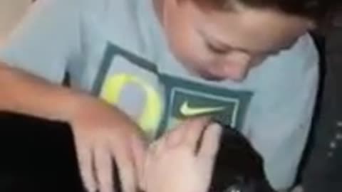 Little boy receives surprise birthday puppy