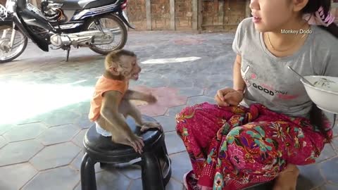 Lovely monkey eating ripe banana like child