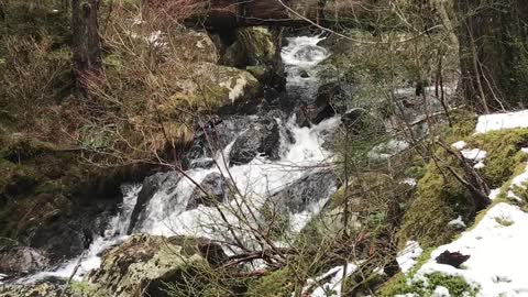 Thimbleberry Lake Trail One