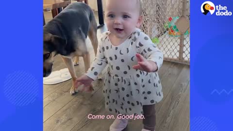 Dog Helps His Baby Sister Walk For The First time