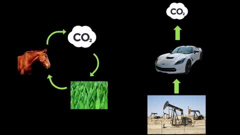 Are electric cars the answer to climate change?