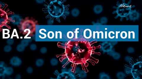 ‘Son of Omicron’ detected in Australia
