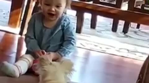 Baby girl funny video with dog