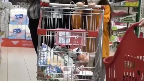 🔥Stealing people's groceries-Prank 😛