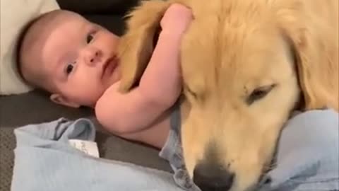 Protective Dog and Baby Cozy Together on Couch_batch