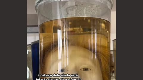 Real head preserved in formaldehyde by Diogo Alves - Portuguese Psychopath