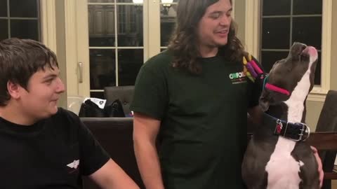 Turbo the Dog Sings Along to Happy Birthday