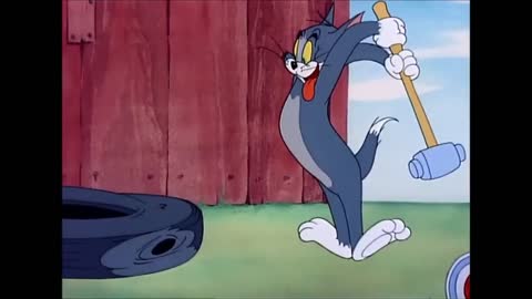 Funny tom and Jerry clips