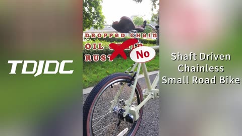 Revolutionary Shaft Drive - No More Chains! bicycle