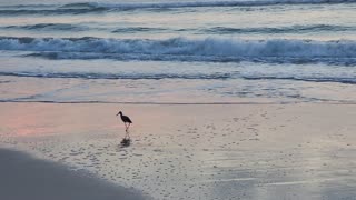 Breakfast at the Beach