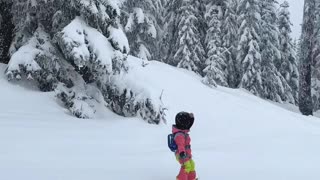 Adorable Toddler Tears Up the Slopes