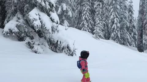 Adorable Toddler Tears Up the Slopes
