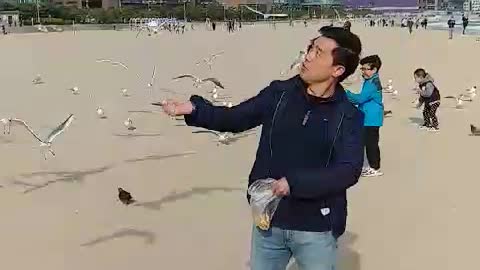 Giving snacks to seagulls at the beach.