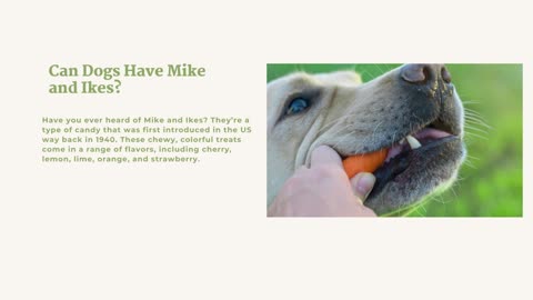 Can Dogs Eat Mike and Ikes - the Happy Healthy Dog Blog