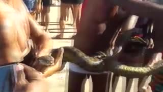 Brazilian Beachgoers Catch Huge Boa Constrictor