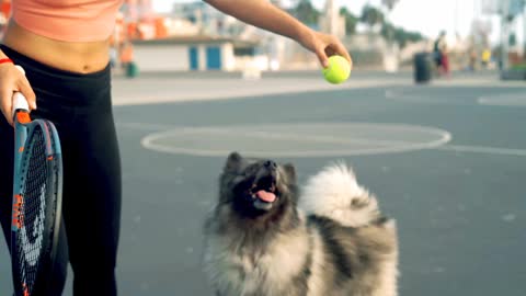 A cute 🥰🐕pet🐶 playing ball with 🥰 girls amazing