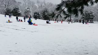 Snow Day at Owl's Head Park
