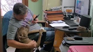 Dog And Owner Listen To "That's Amore" Together