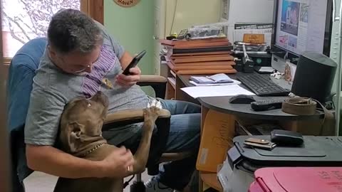 Dog And Owner Listen To "That's Amore" Together