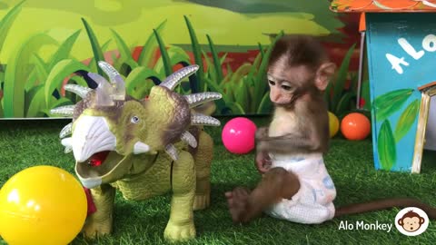 Baby Monkey BiBi Riding a dinosaur, Animals Home