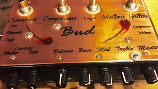 Bud's amps montage of pedals & amps a few years back