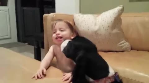 Funny Babies Playing with Dogs Compilation - Funny Baby and Pets __ Cool Peachy