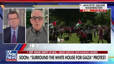 Israel-Hamas war is having a devastating impact, and we want it to end_ Dem rep Fox News