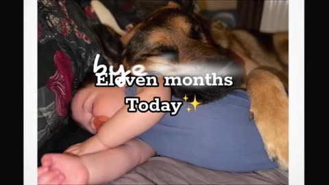 "From Cuddles to Crawlies: A Heartwarming Journey of Baby and Dog's First Year Together 🐾💕"