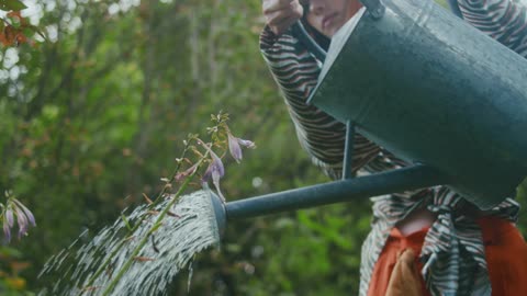 A Woman Watering Flowers