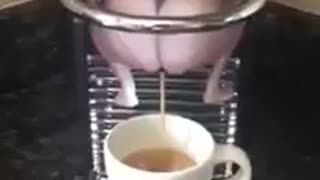 The Easiest way to make a coffee