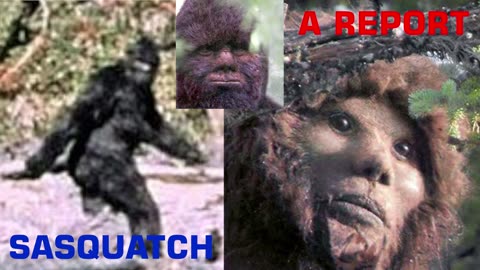 Sasquatch - A Report Exploring The Evidence Of Existence And Link With Missing 411 & Triangle Craft