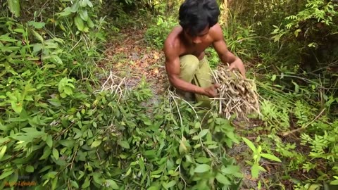 Million Dollars Skill! Brave Millionaire Harvesting Honey Beehive by Hands