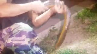 #Shorts​​​​​​​ Unique Fishing 🧐 Catching Yellow Monster Eel Fish From Under Deep Mud #30