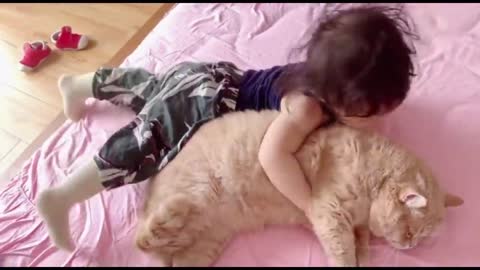 Loving Family Cat Always There For His Little Human Sister